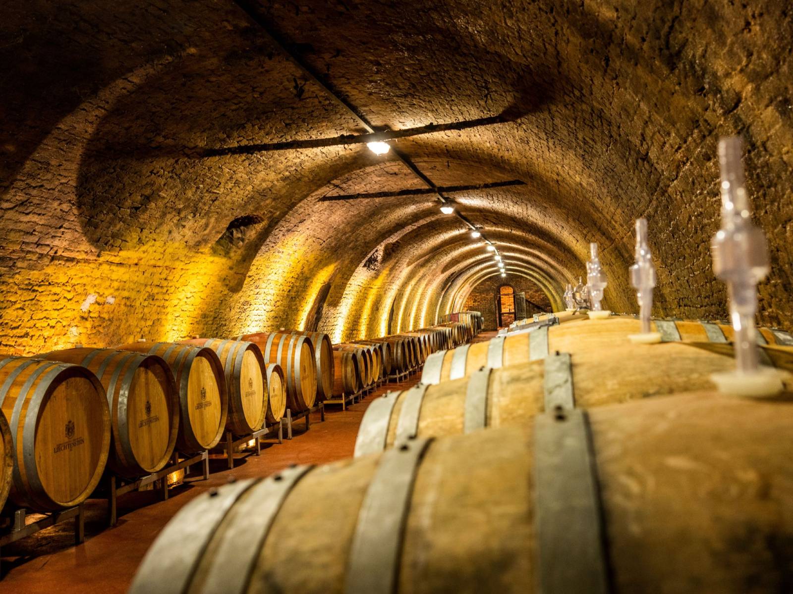 wines